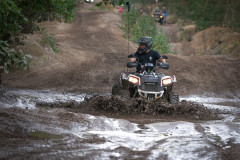DSC5850-1peckfitz-ATV-QUAD-TREFFEN-131